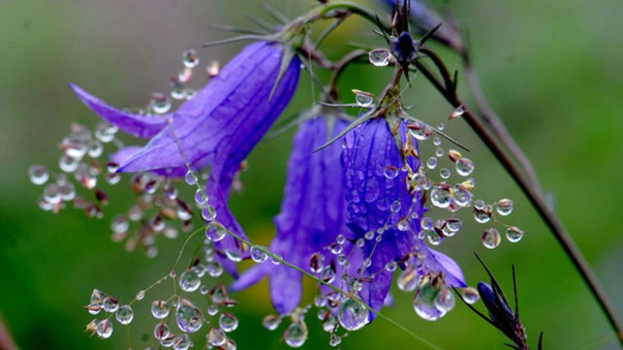 Cemre düşmesi, cemre düşme tarihleri tarım ve hayvancılıkla uğraşan vatandaşlar