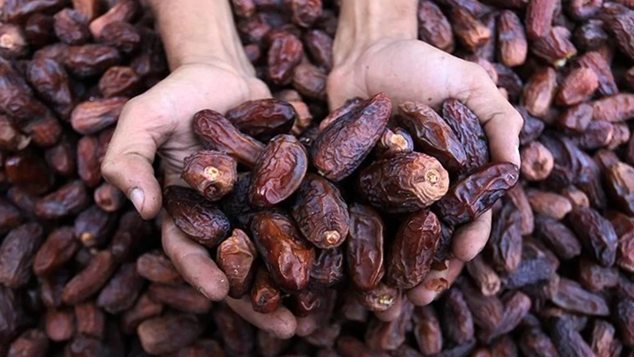 Ramazan denilince akla gelen hurmayı saklamanın en iyi yolunun serin