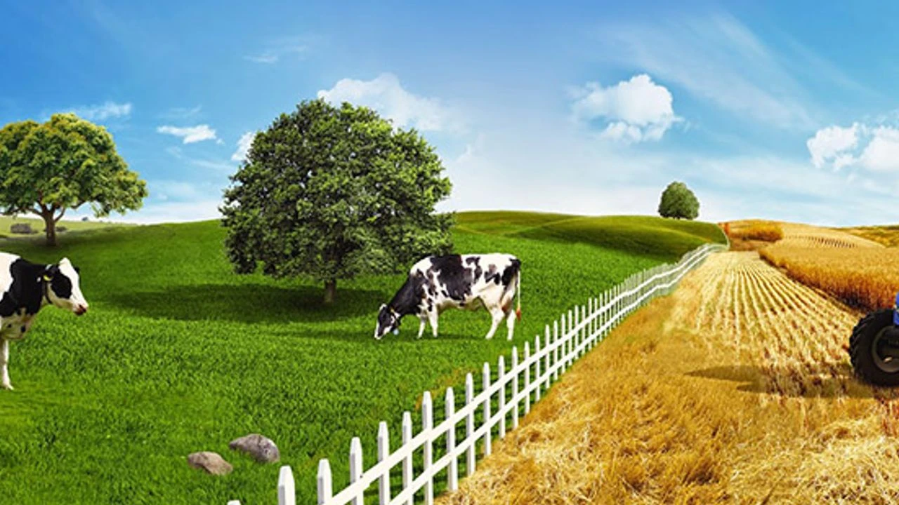 11– 12 Mayıs 2026 tarihlerinde ISPEC 19. Uluslararası Tarım, Hayvancılık