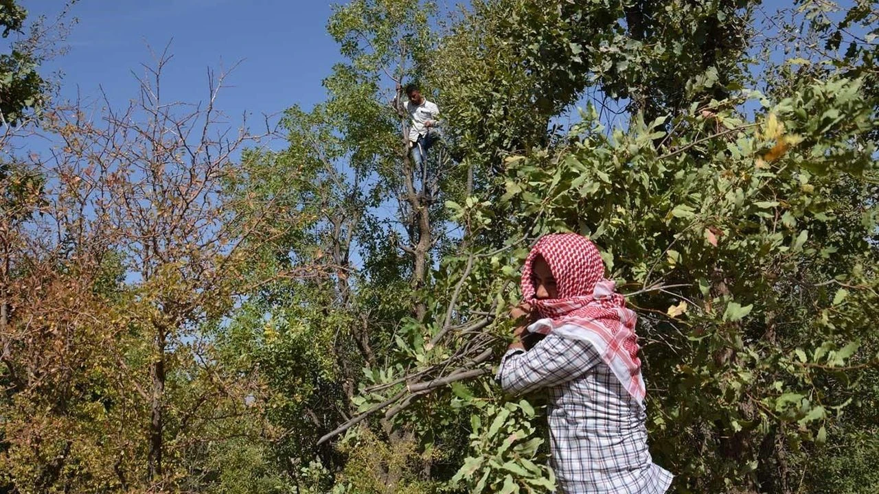 Tarım Orman-İş Sendikası Kurucu Genel Başkanı Şükrü Durmuş tarafından yapılan