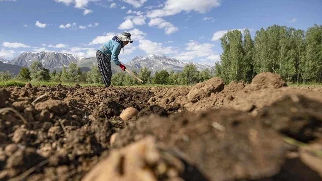 Kırsal kalkınma desteklerinde 2026 yılı itibariyle yeni dönemin başladığı. Tarım