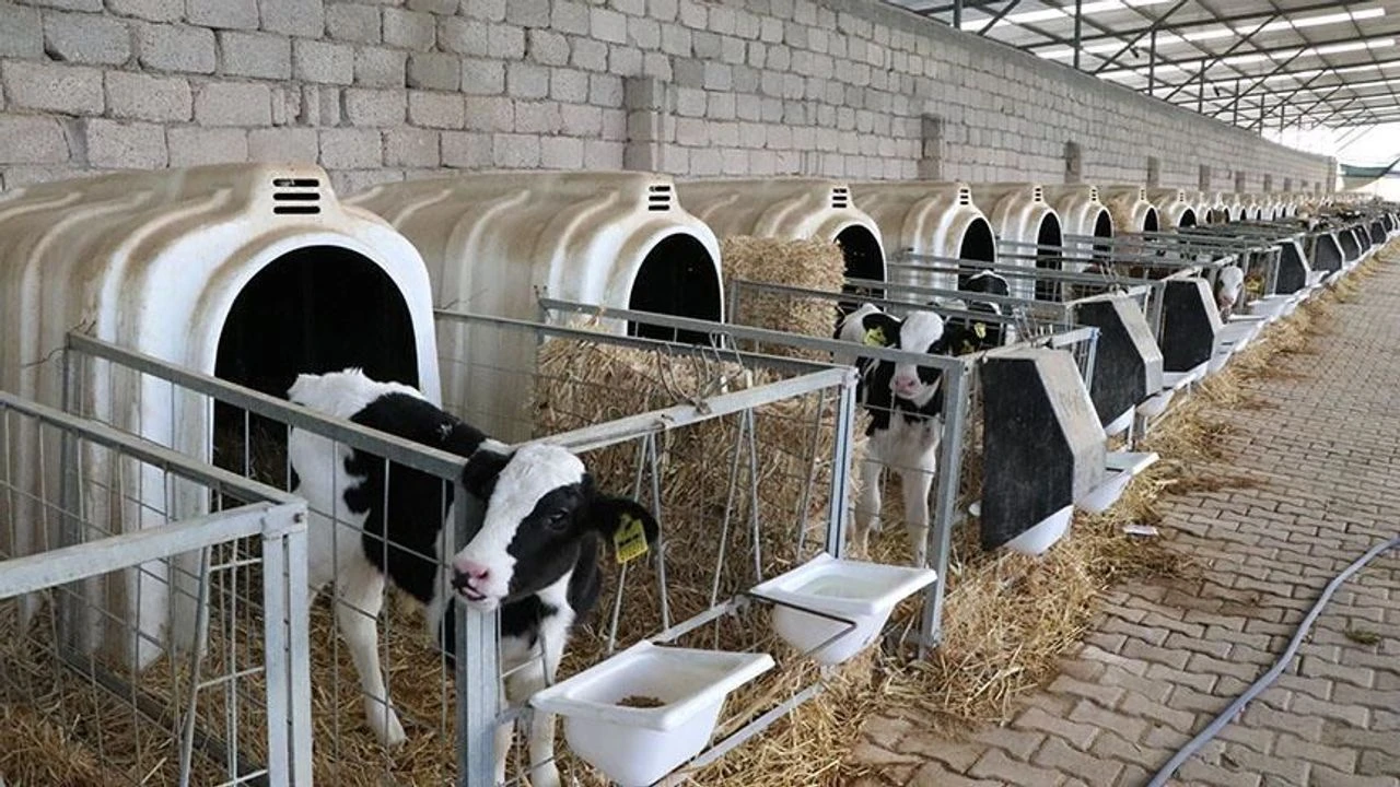 Elazığ Tarım ve Hayvancılık Platformu’nun lansman tanımı yapıldı. Kentte tarım