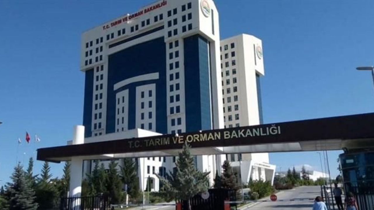 İstilacı yabancı türlerin Türkiye’ye girişinin ve yayılımının önüne geçmesi için