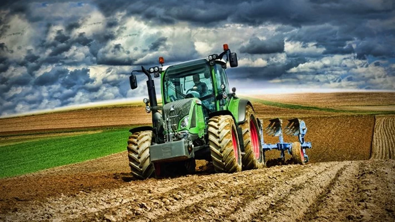 Devletin tarım ve hayvancılığa ilişkin destekleri devam ediyor. Yeni destek