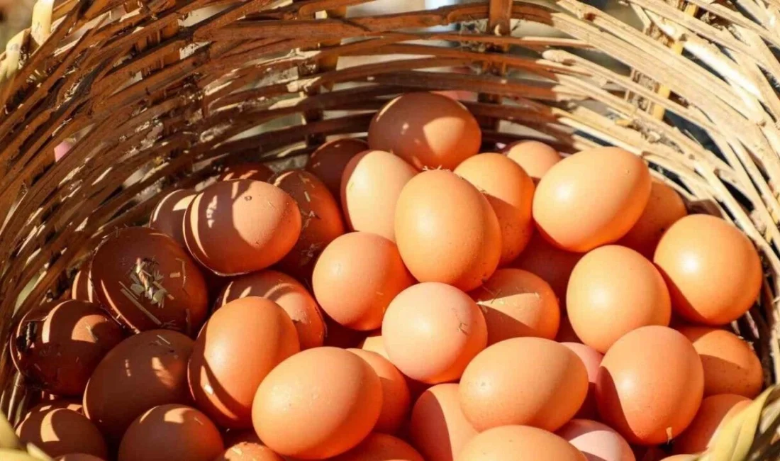 Resmi Gazete'de Tarım ve Orman Bakanlığı tarafından düzenlenen "Küçük Miktarlardaki