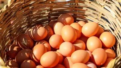 Resmi Gazete'de Tarım ve Orman Bakanlığı tarafından düzenlenen "Küçük Miktarlardaki