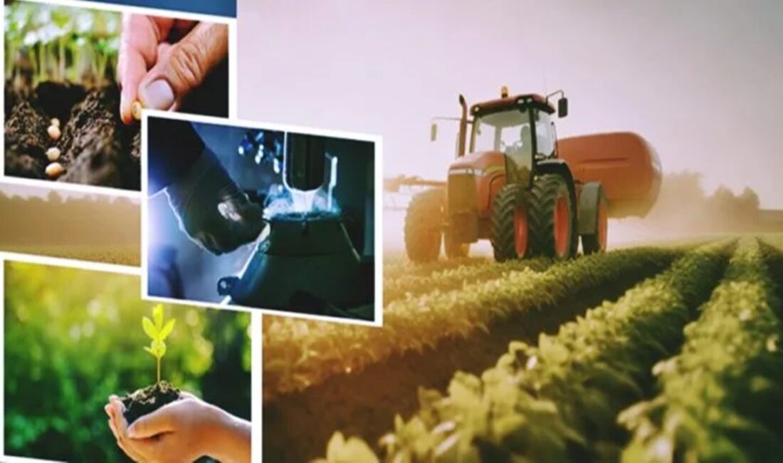 Üreticilerin merakla beklediği 2026 tarımsal destekleme ödemelerinde süreç netleşti; mazot,