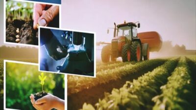 Üreticilerin merakla beklediği 2026 tarımsal destekleme ödemelerinde süreç netleşti; mazot,