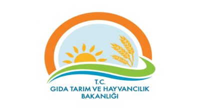 Çorum’da büyükbaş hayvanların çamura hapsedilerek hareketlerinin kısıtlandığı görüntüler infial yaratırken,
