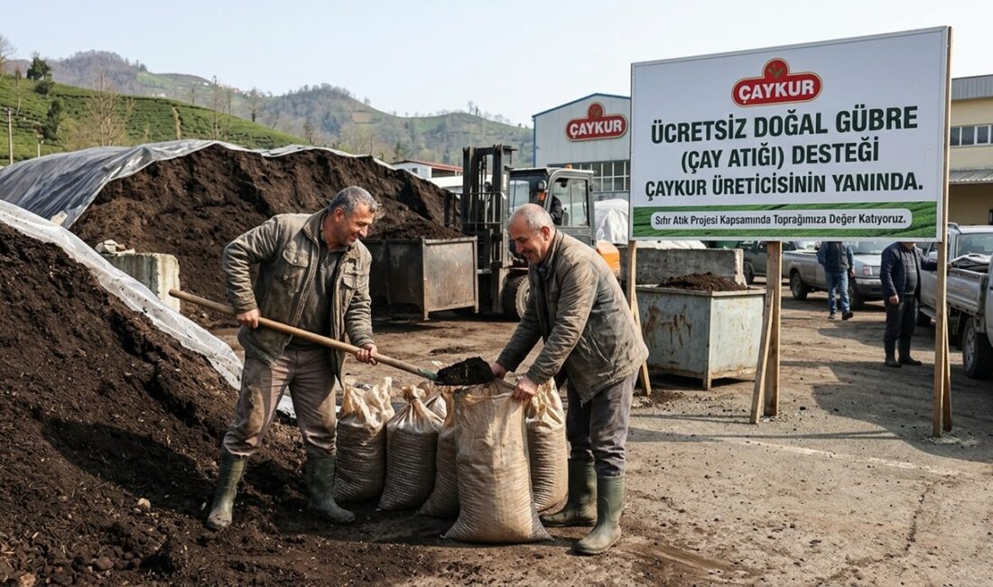 ÇAYKUR, çiftçilere tarım arazilerinde kullanılmak üzere ücretsiz çay atığı gübre