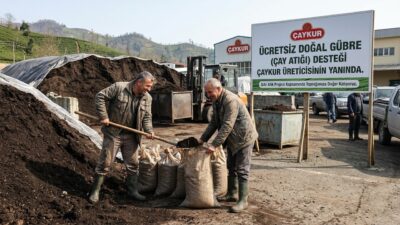 ÇAYKUR, çiftçilere tarım arazilerinde kullanılmak üzere ücretsiz çay atığı gübre