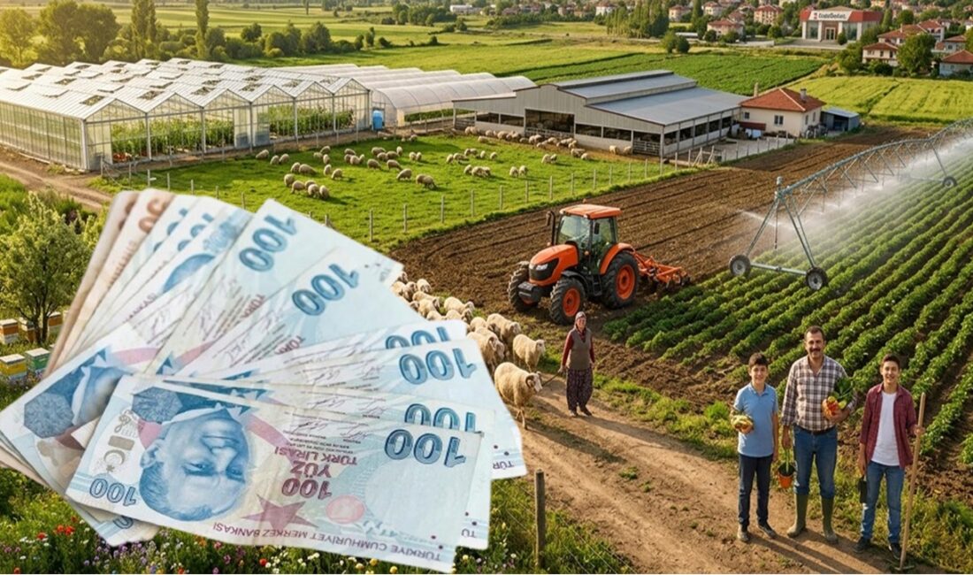 Cumhurbaşkanı kararıyla yürürlüğe giren yeni tarımsal kredi paketi, çiftçilere 400