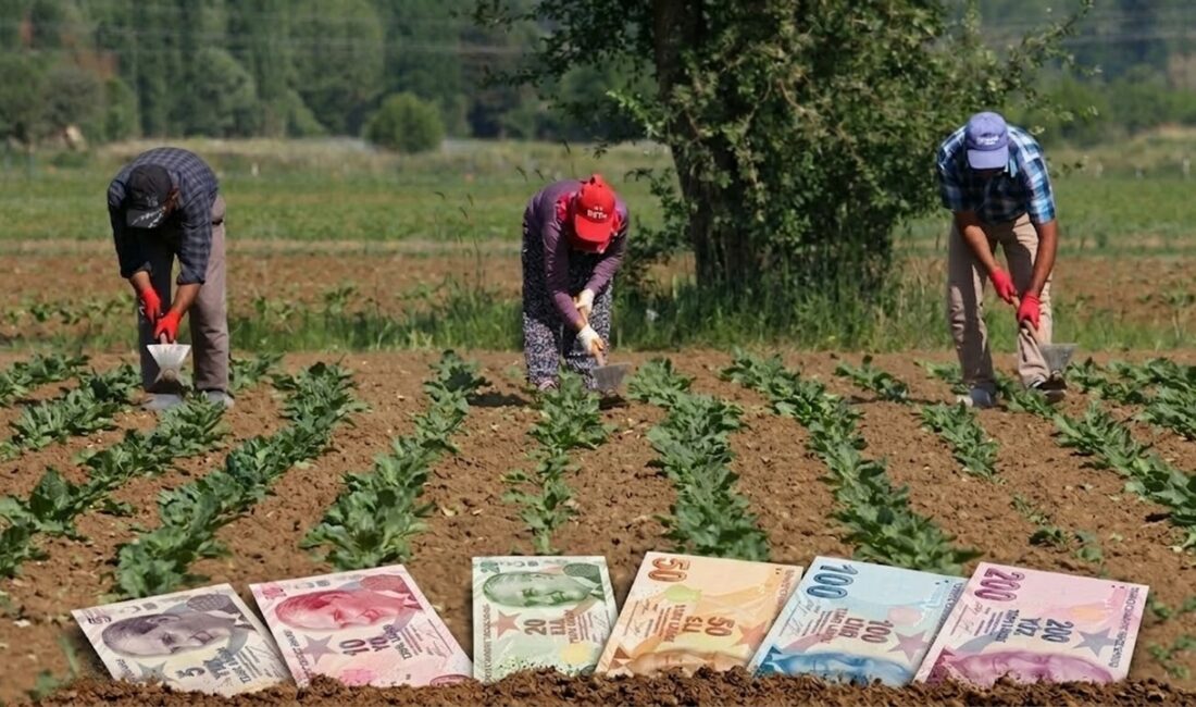2026 yılı mazot ve gübre destek ödemeleri ne zaman yapılacak?