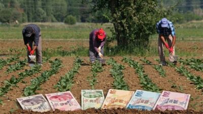2026 yılı mazot ve gübre destek ödemeleri ne zaman yapılacak?