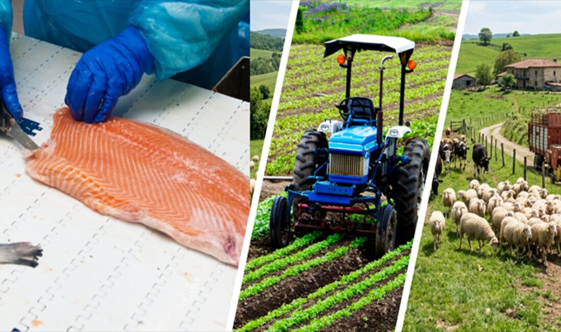 Tarım ve Orman Bakanlığı, IPARD III Programı kapsamında 2026 yılı