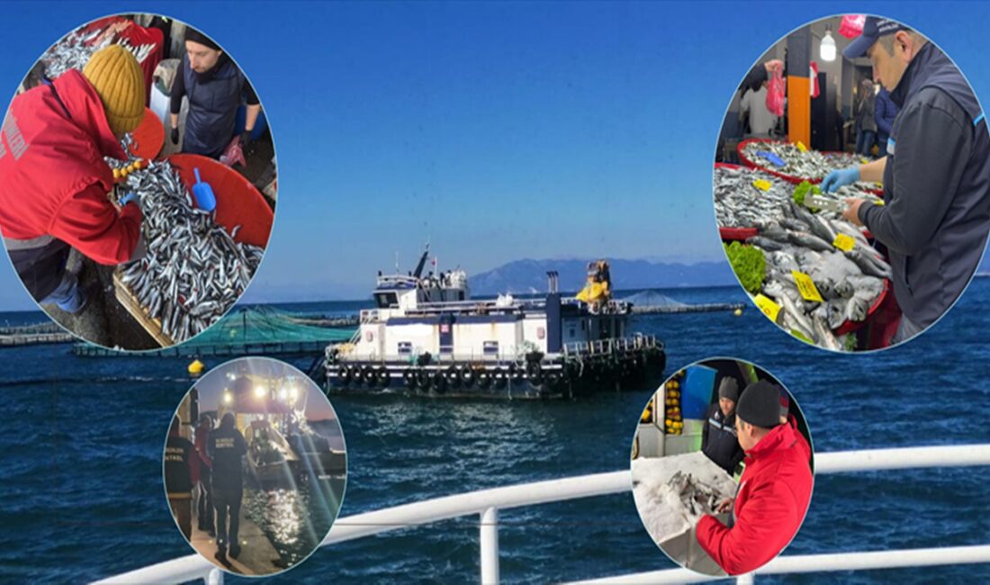 Aydın İl Tarım ve Orman Müdürlüğü, ildeki 51 su ürünleri