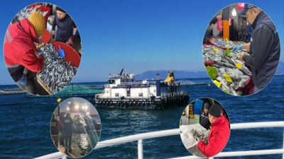 Aydın İl Tarım ve Orman Müdürlüğü, ildeki 51 su ürünleri