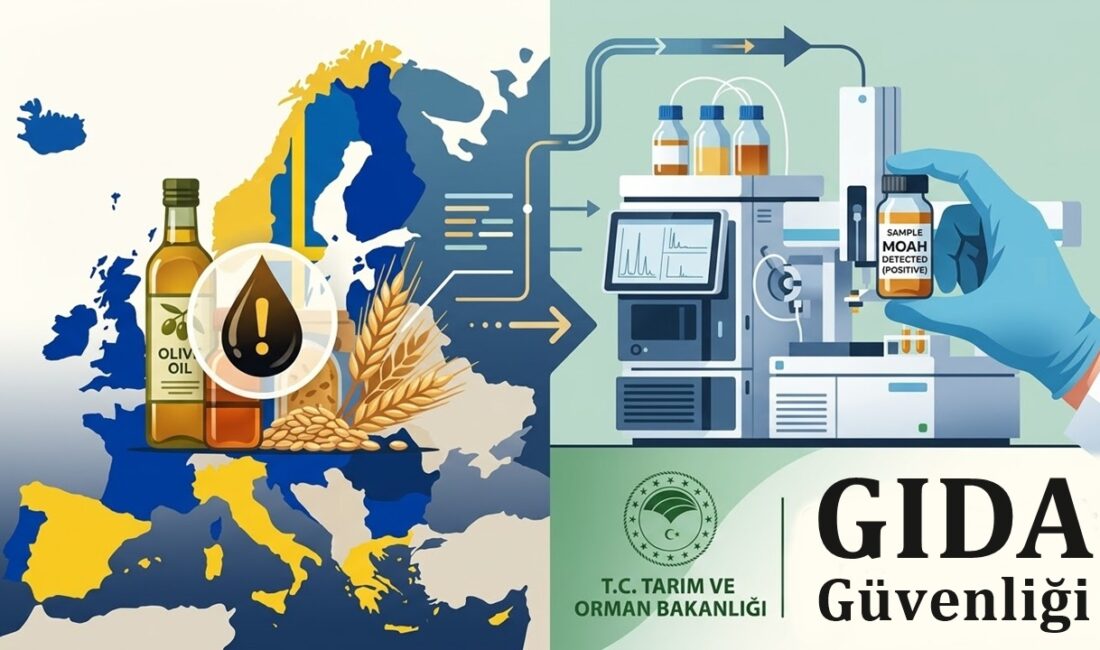 Mutfaklardaki gizli tehlikeye karşı Avrupa'dan dev hamle! AB, gıdalarda MOAH