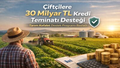 Tarım ve Orman Bakanlığı tarafından hayata geçirilen yeni kefalet destek