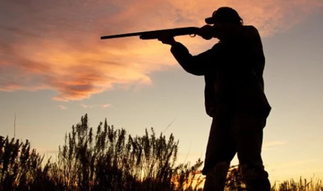 Doğa Koruma ve Milli Parklar Genel Müdürlüğü (DKMP) tarafından av