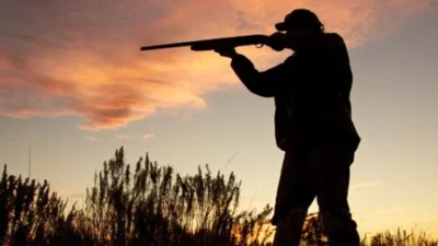 Doğa Koruma ve Milli Parklar Genel Müdürlüğü (DKMP) tarafından av