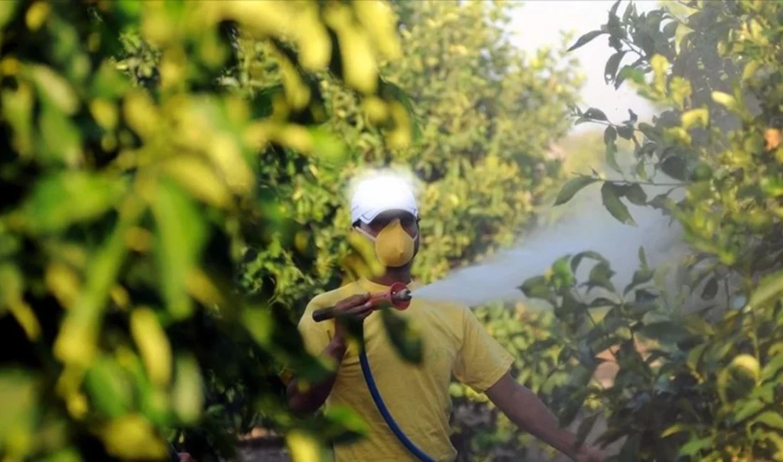 Tarım ve Orman Bakanlığı'nın B-Reçete bilgilendirmeleri devam ediyor. Kütahya İl