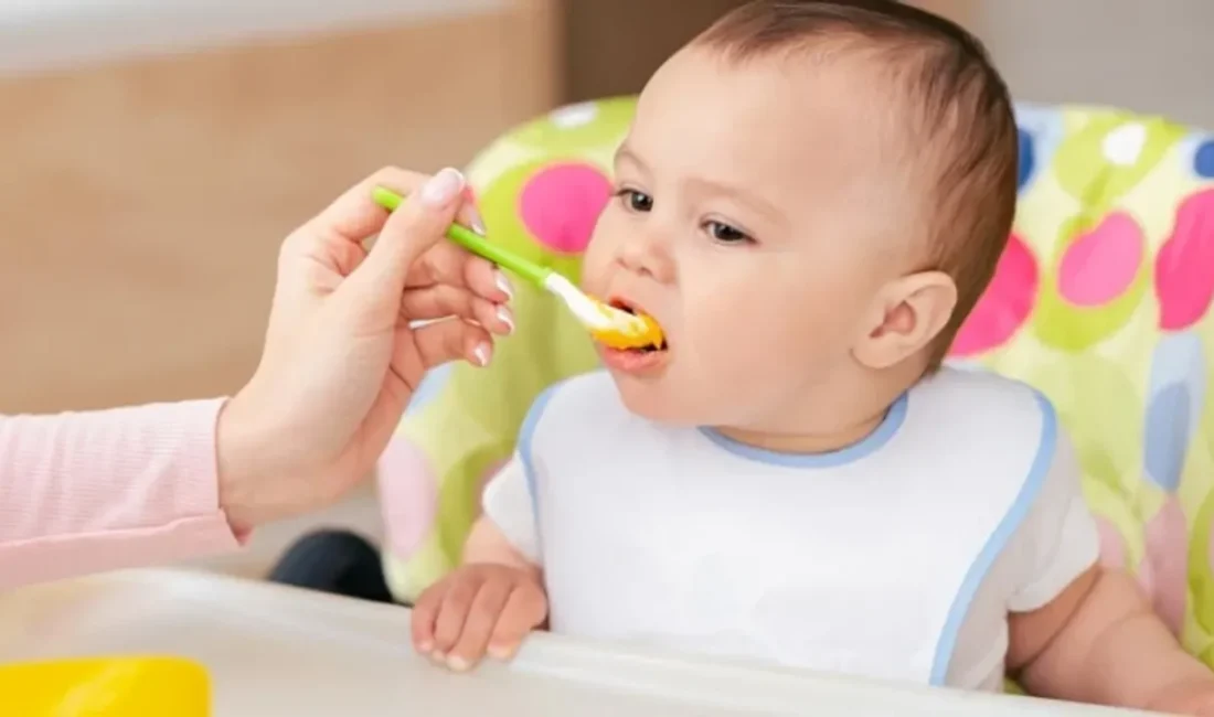Bebek maması sektörü sereulid (cereulide) kontaminasyonu ile sarsıldı. Cereulidele ilgili