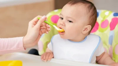 Bebek maması sektörü sereulid (cereulide) kontaminasyonu ile sarsıldı. Cereulidele ilgili