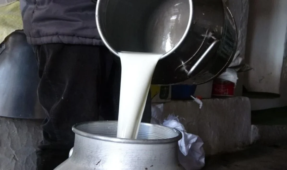 Tüm Süt, Et ve Damızlık Sığır Yetiştiricileri Derneği (TÜSEDAD) tarafından