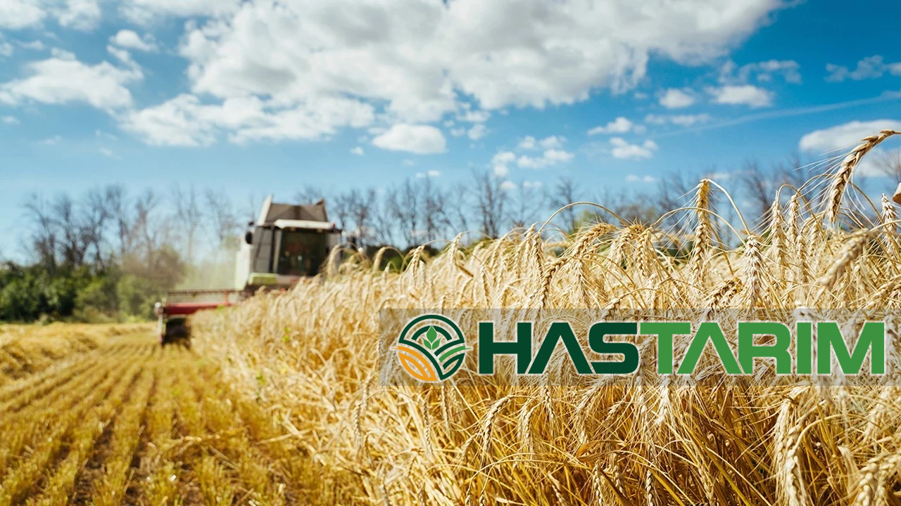 Bu haberin fotoğrafı yok