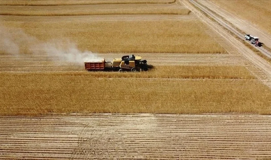 Tarım ve Orman Bakanlığı çiftçilere 149 milyon 612 bin TL’lik