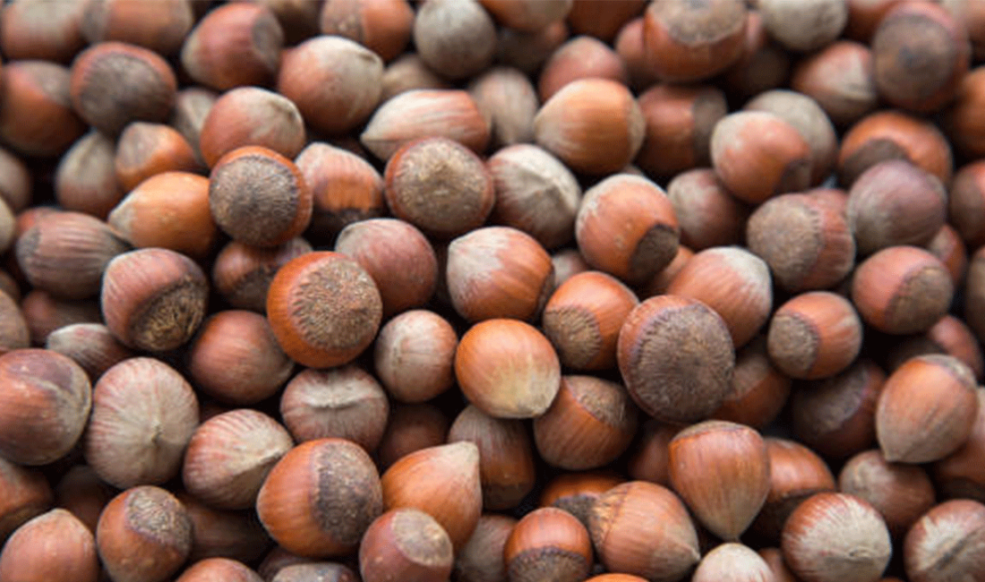 İhracatçı birlikleri tarafından çiçek sayımına dayanan ilk tahminine göre; 2026-2027