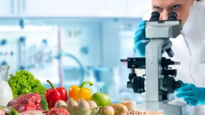 Dünya kapsamında gıda güvenliği yönetim sistemleri alanında yaygın olarak kullanılan