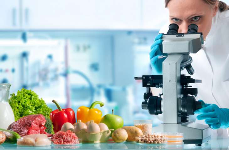 Dünya kapsamında gıda güvenliği yönetim sistemleri alanında yaygın olarak kullanılan