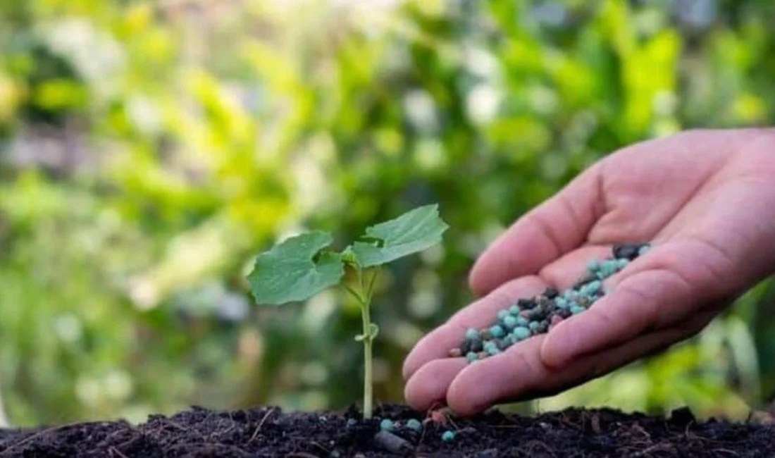 Tarım Kredi Kooperatifleri tarafından gübre tedarikine ilişkin duyuru yapıldı. Yapılan
