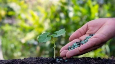 Tarım Kredi Kooperatifleri tarafından gübre tedarikine ilişkin duyuru yapıldı. Yapılan