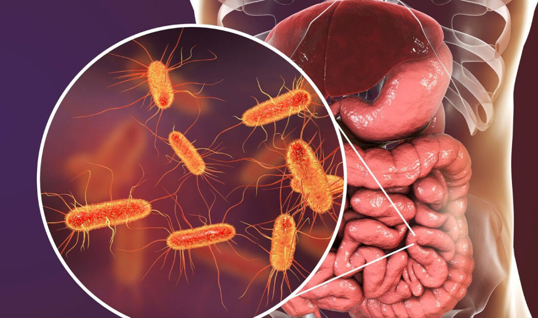 İşlenmiş gıdaları daha uzun süre taze kalması için içine eklenen