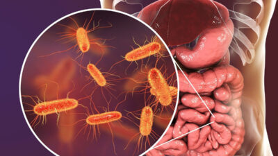 İşlenmiş gıdaları daha uzun süre taze kalması için içine eklenen