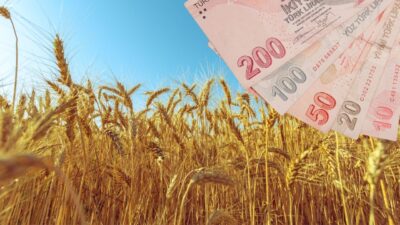 Kuraklıktan zarar gören üreticilere 5.955.058 TL kuraklık tazminatı ödendiği mart