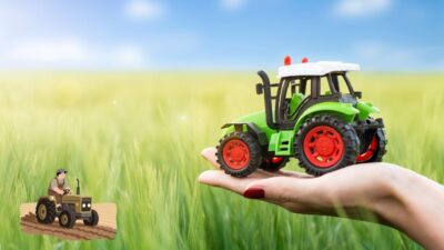 Tarım arazilerinin kullanımının etkinleştirilmesi projesi çerçevesinde nohut tohumu dağıtımının gerçekleştirildiği