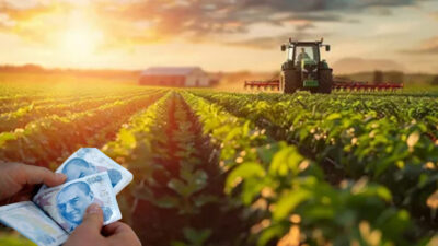 Çiftçiler artık tohumu toprağa atmadan kazancını bilecek ve üretim stratejik