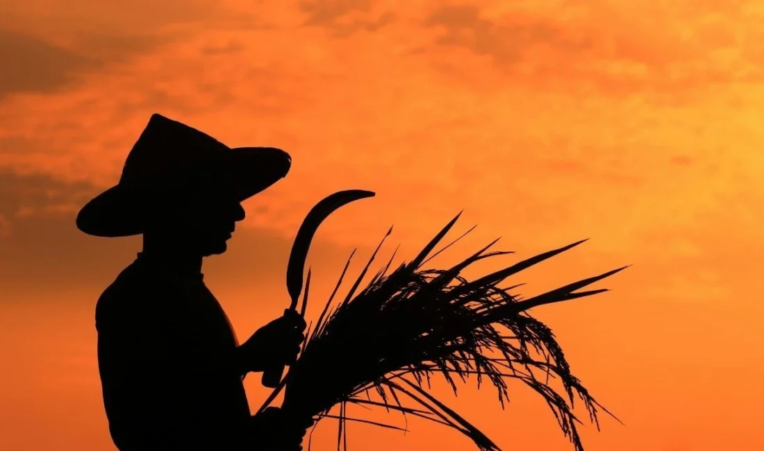 Tarım ve Orman Bakanlığı 2026- 2028 yılları arasında 65,5 milyar