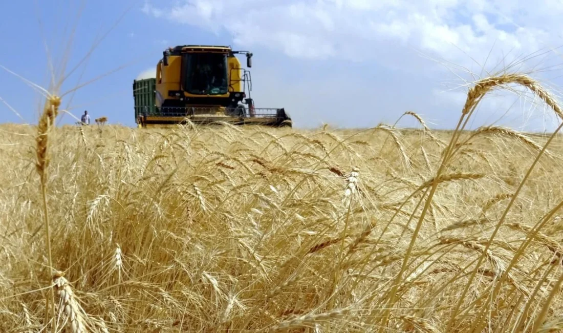 Bakan Yumaklı, 12 milyar liralık Tarımsal Destekleme Ödemesi'nin bugün hesaplara