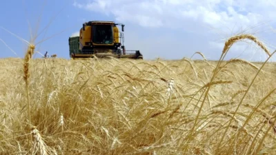 Bakan Yumaklı, 12 milyar liralık Tarımsal Destekleme Ödemesi'nin bugün hesaplara