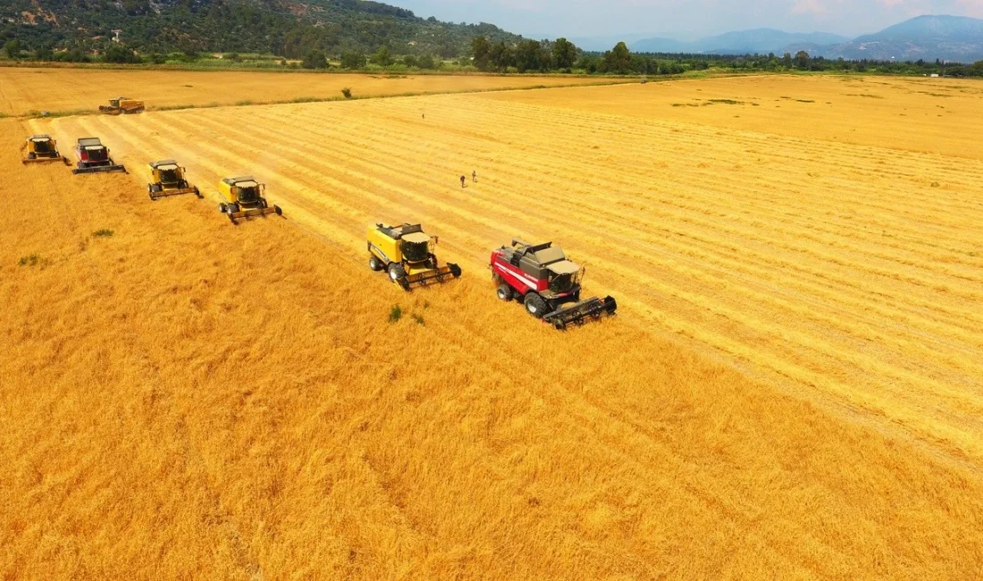 Tarım ve Orman Bakanlığı tarım sigortasında yeni döneme ilişkin bilgi