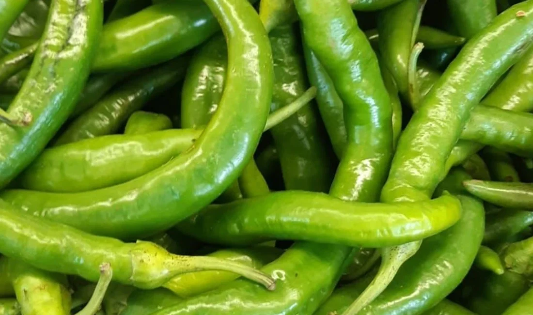 Türkiye'den Bulgaristan'a gönderilen taze biberlerde yüksek seviyede pestisit kalıntısı tespit