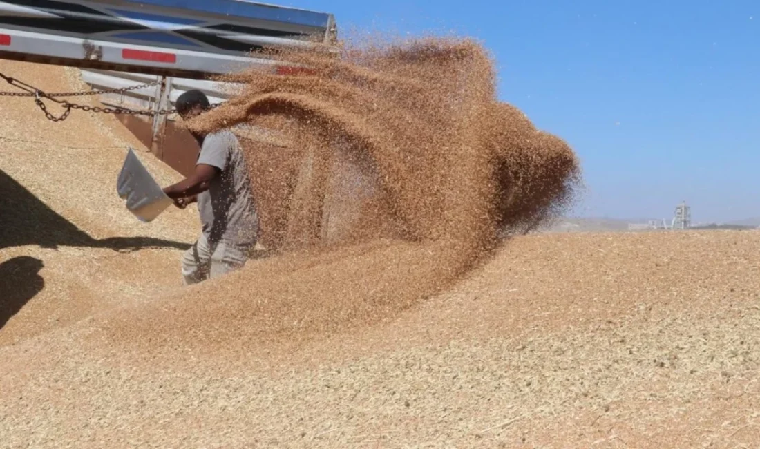 Tekirdağ, Kırklareli ve Edirne'den önceki ay 195 milyon 53 bin